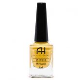 Esmalte Ana Hickmann - Minissaia